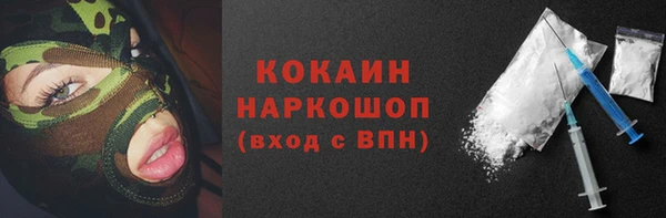 дмт Абаза
