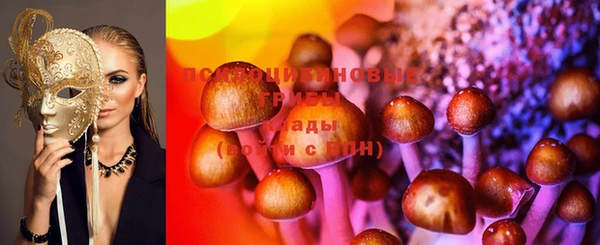 дмт Абаза