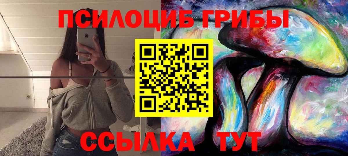 Галлюциногенные грибы Cubensis  продажа наркотиков  Богданович  Вход с VPN 