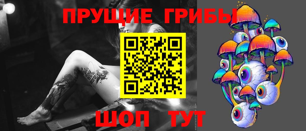 Псилоцибиновые грибы ЛСД Богданович