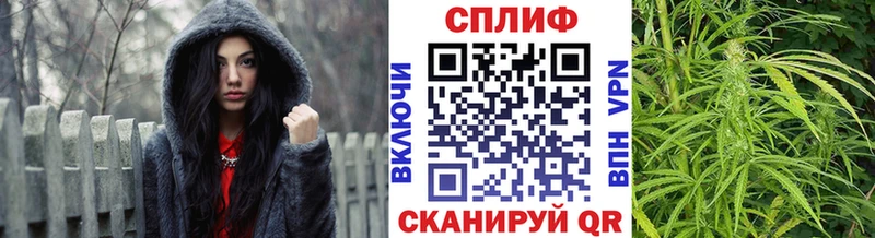 МАРИХУАНА конопля Богданович